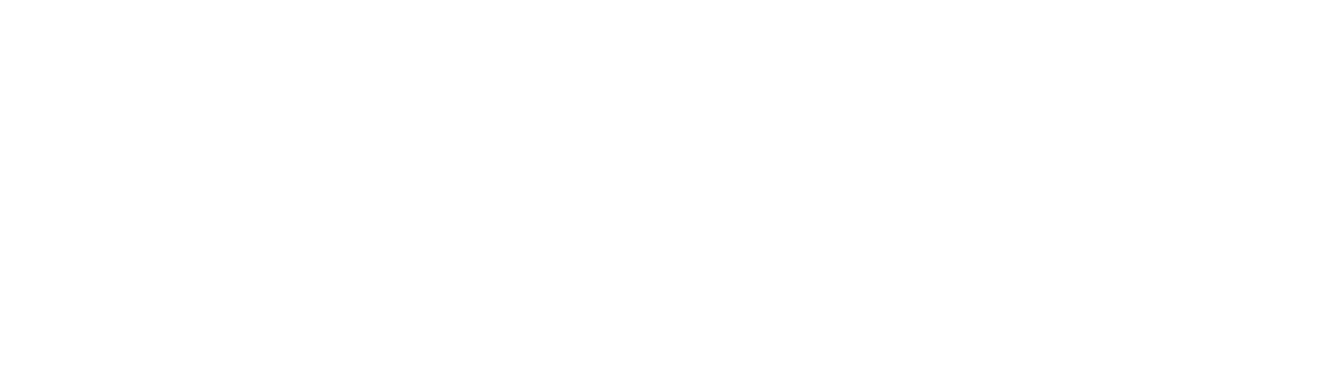 IE Development